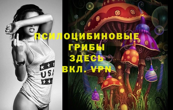 винт Аркадак
