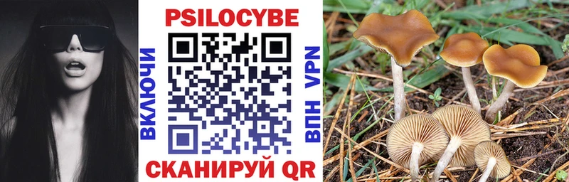 купить   Новоаннинский  Галлюциногенные грибы MAGIC MUSHROOMS 